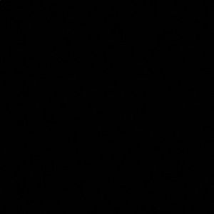 Meet your Posher, Rojin